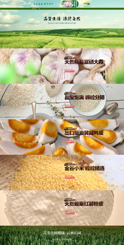 农产品初加工 从田间到餐桌的第一道桥梁