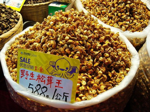 大假逛农产品博览会 海鲜腊肉琳琅满目，初加工产品迎来甩卖热潮