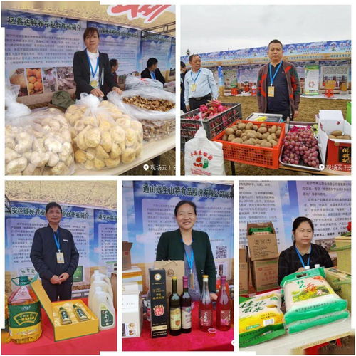 庆丰收 迎小康 我县特色农产品惊艳第三届中国农民丰收节咸宁主会场