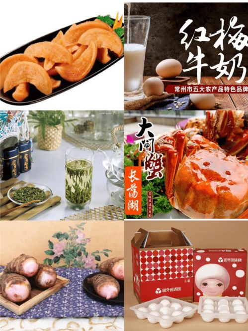 叫响“常”字农产品品牌，常州名特优农产品南京展销会二十三日在宁开幕